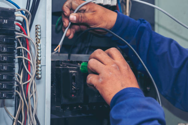 Best Electrical Troubleshooting Services  in Holland, TX