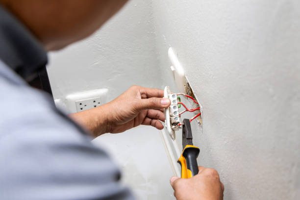 Best Local Electrician Companies  in Holland, TX